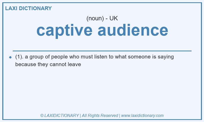 Definition captive audience in British English