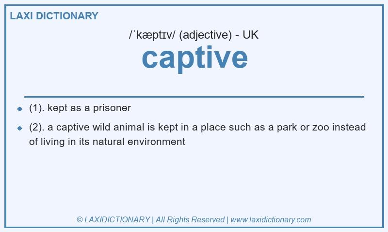 Definition captive in British English