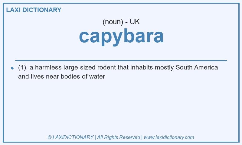 Definition capybara in British English