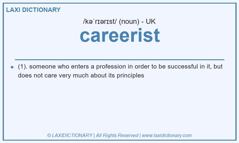 Definition careerist in British English