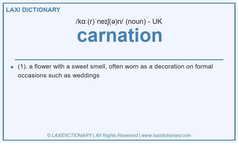 Definition carnation in British English