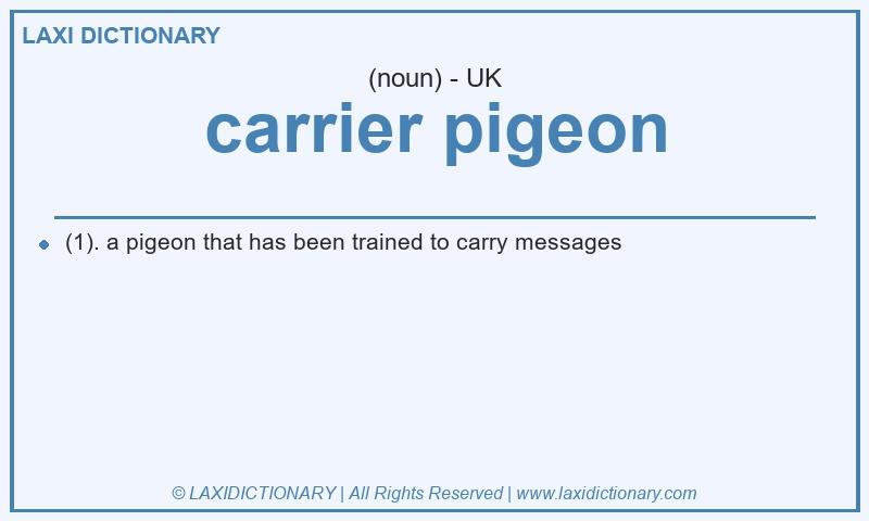 Definition carrier pigeon in British English