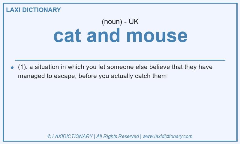 Definition cat and mouse in British English