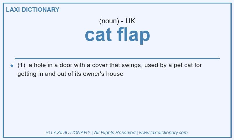 Definition cat flap in British English