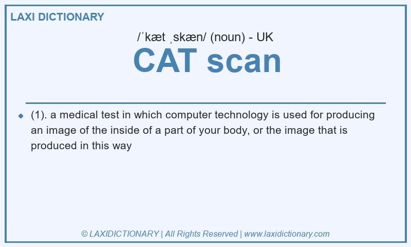 Definition CAT scan in British English