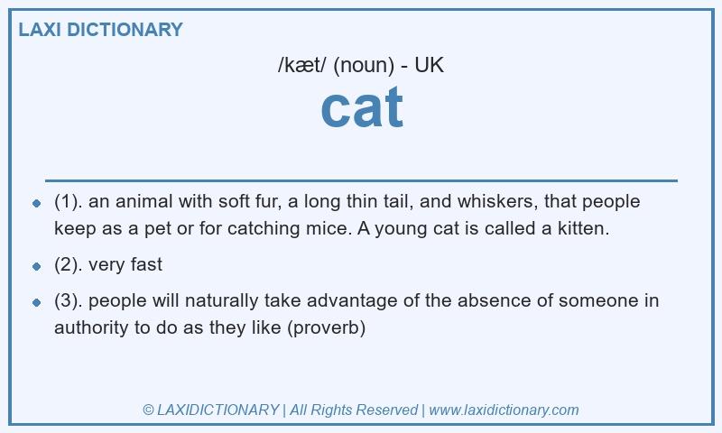 Definition cat in British English