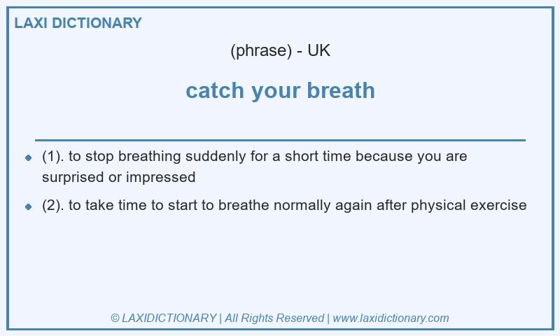 Definition catch your breath in British English
