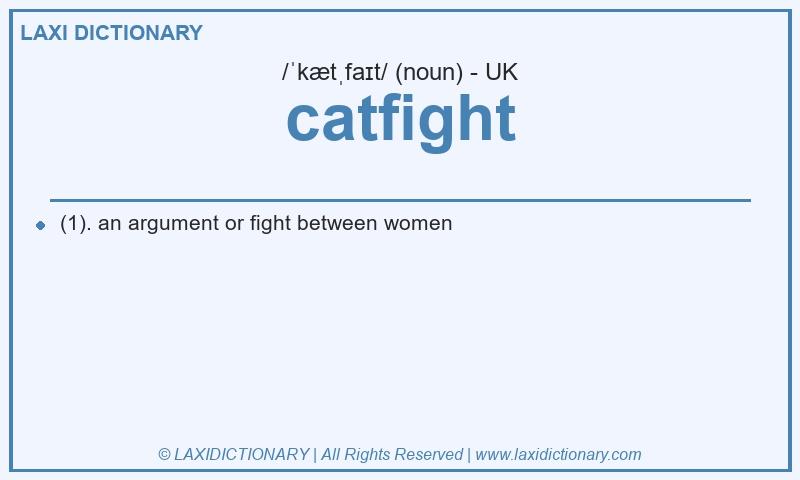 Definition catfight in British English