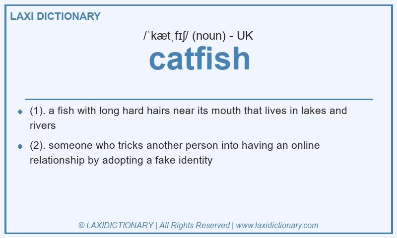 Definition catfish in British English