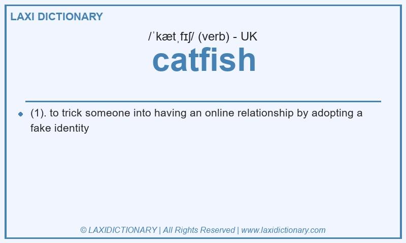 Definition catfish in British English