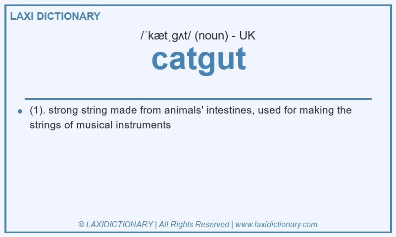 Definition catgut in British English