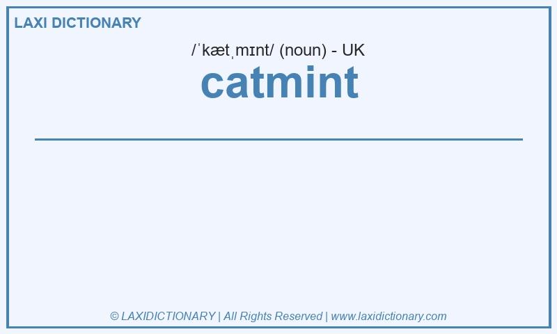 Definition catmint in British English