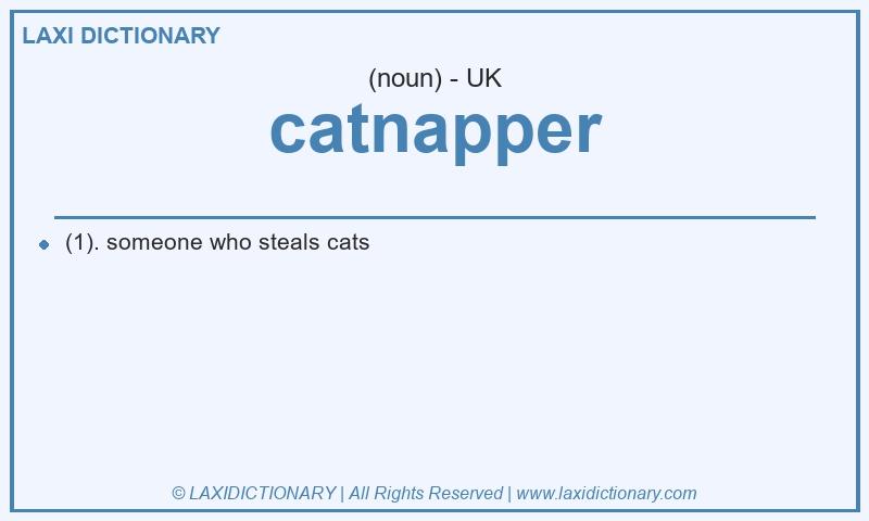 Definition catnapper in British English
