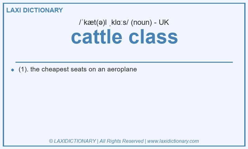 Definition cattle class in British English