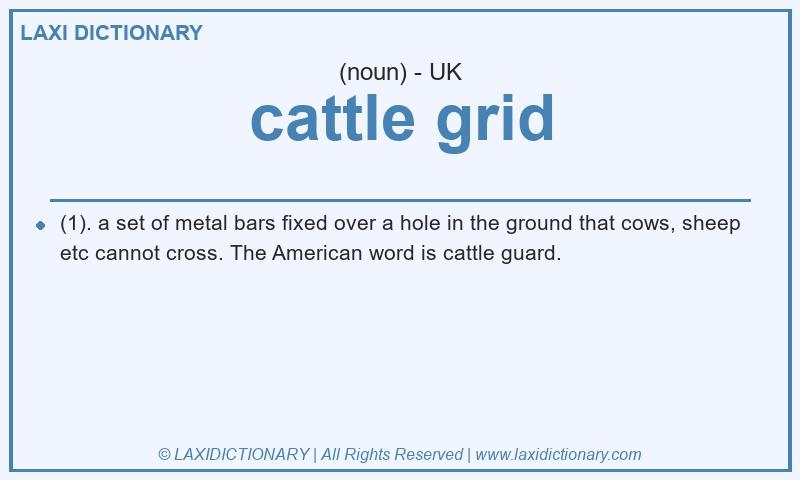 Definition cattle grid in British English