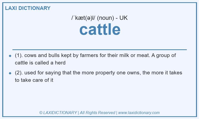 Definition cattle in British English