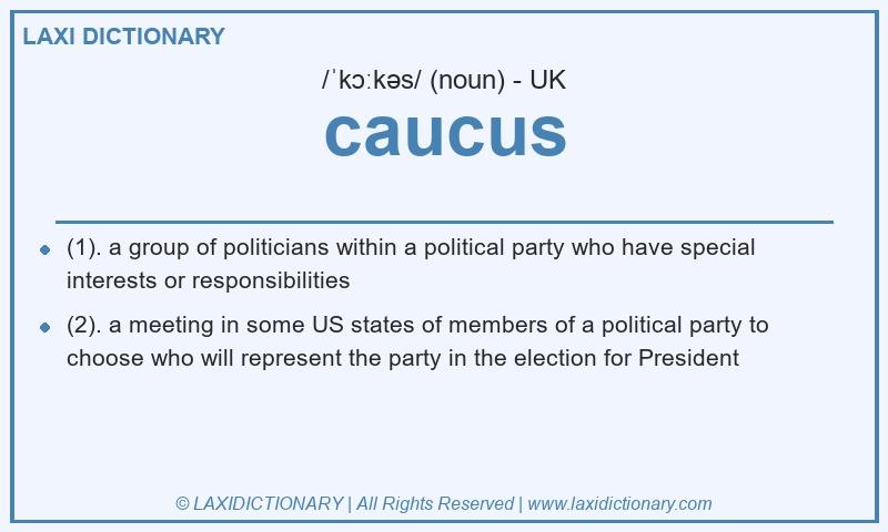 Definition caucus in British English