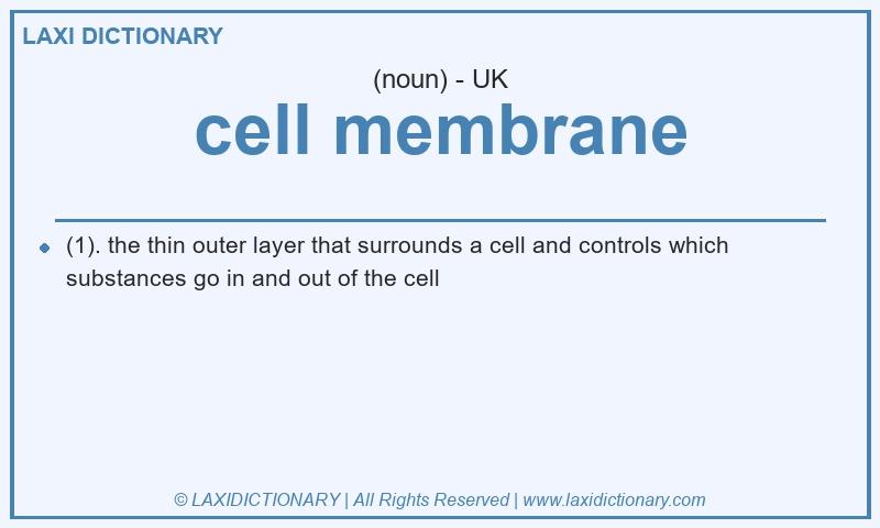 Definition cell membrane in British English