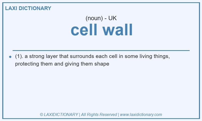 Definition cell wall in British English