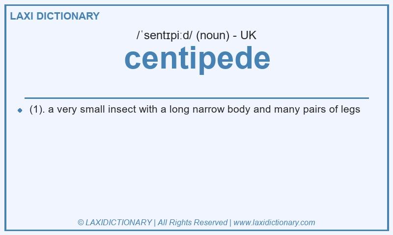 Definition centipede in British English