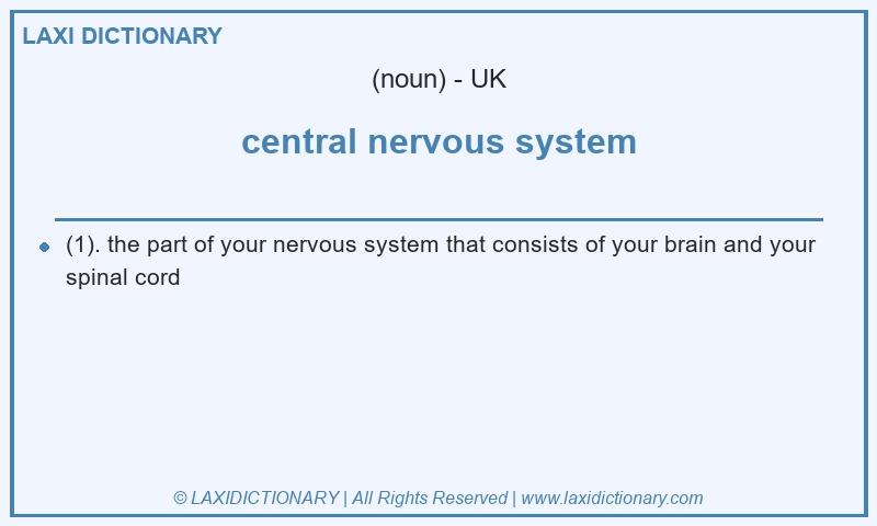 Definition central nervous system in British English