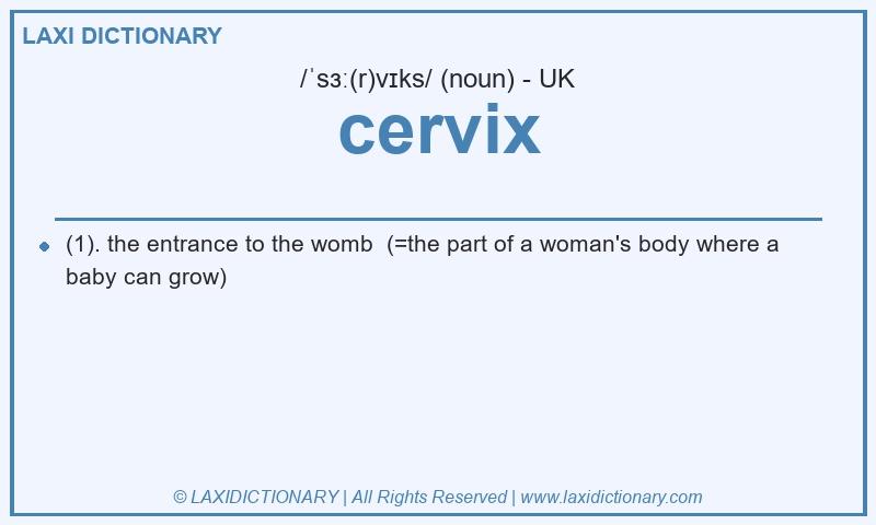 Definition cervix in British English