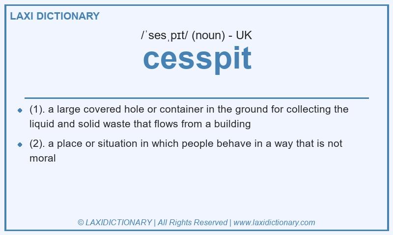 Definition cesspit in British English