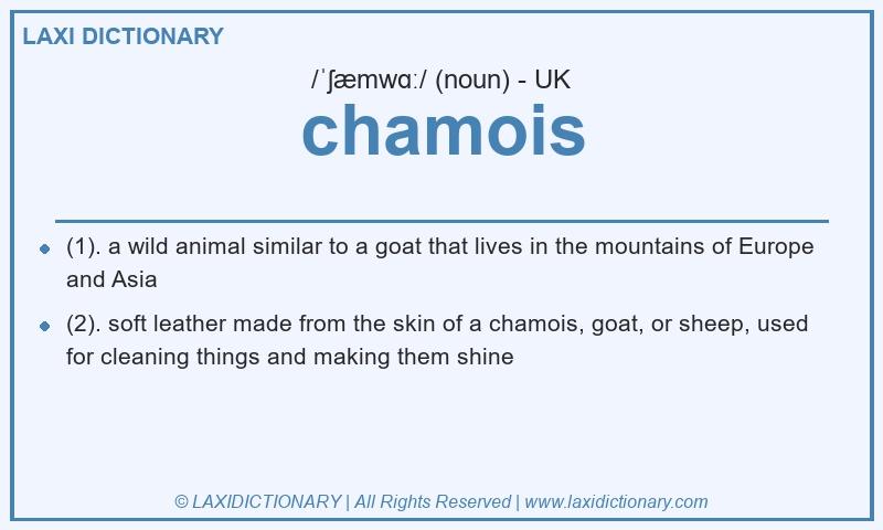 Definition chamois in British English