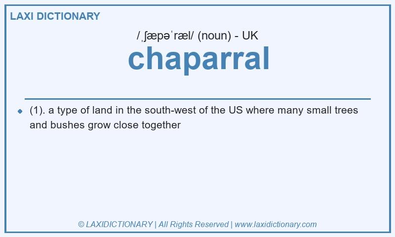 Definition chaparral in British English