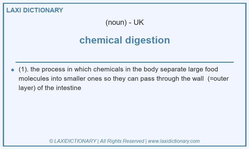 Definition chemical digestion in British English