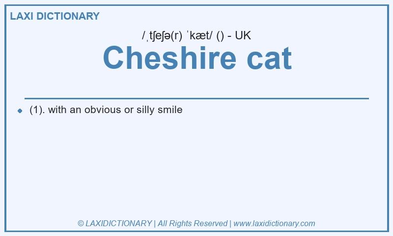 Definition Cheshire cat in British English