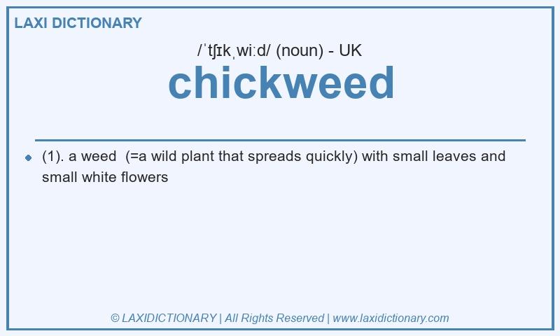 Definition chickweed in British English
