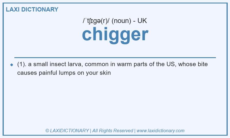 Definition chigger in British English
