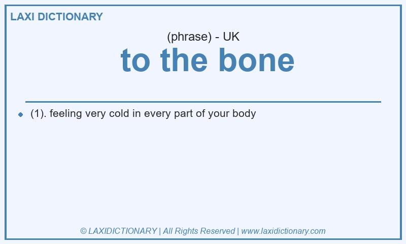 Definition  to the bone in British English