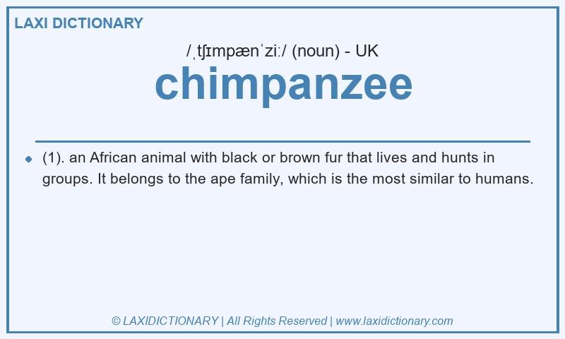Definition chimpanzee in British English