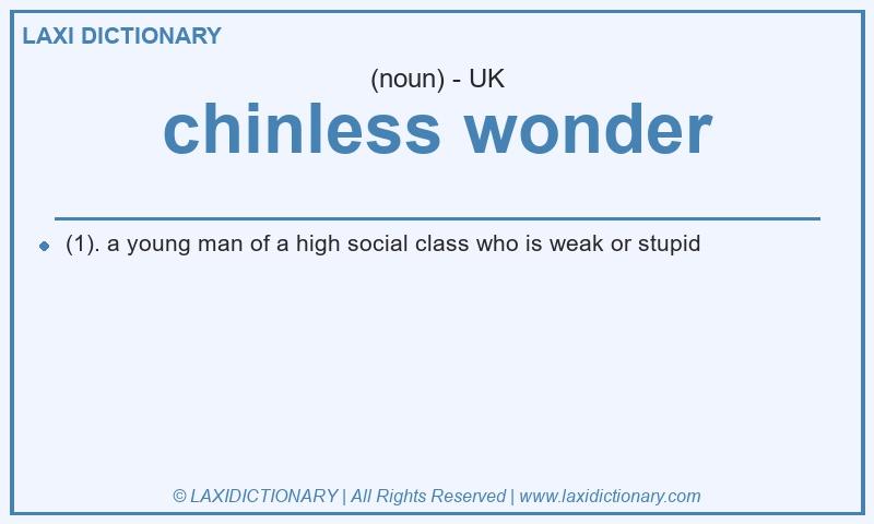 Definition chinless wonder in British English
