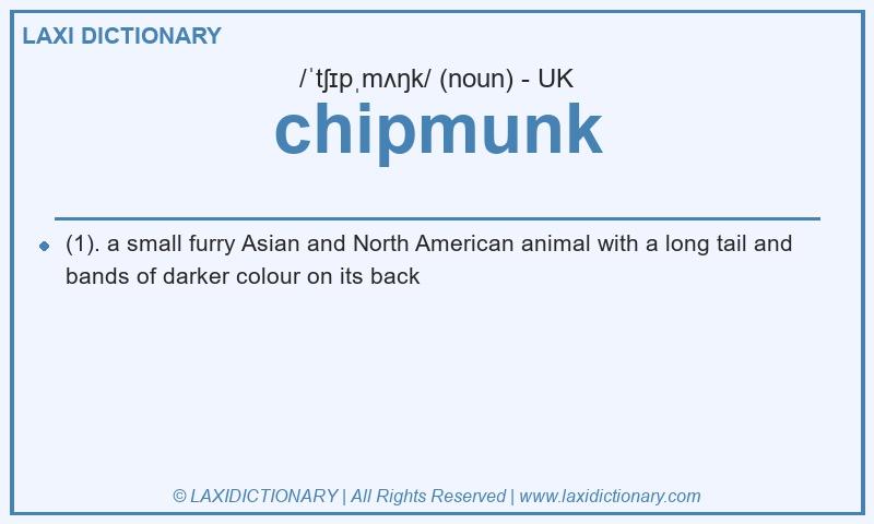 Definition chipmunk in British English