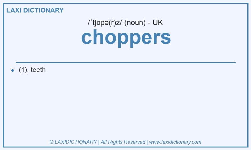 Definition choppers in British English