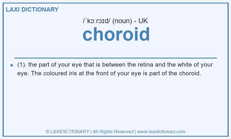 Definition choroid in British English
