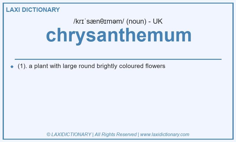 Definition chrysanthemum in British English