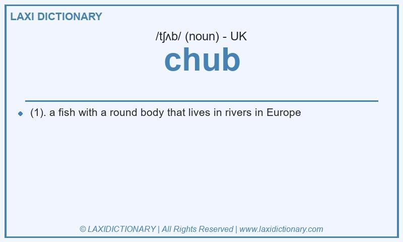 Definition chub in British English