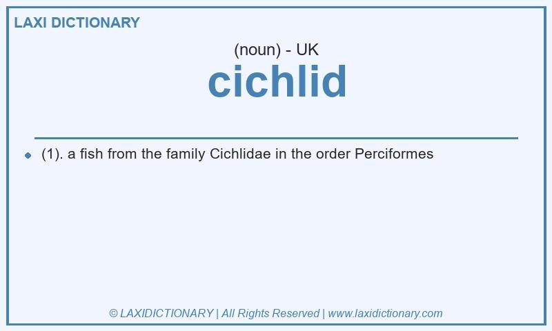 Definition cichlid in British English