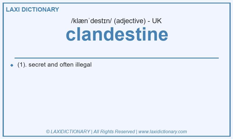 Definition clandestine in British English