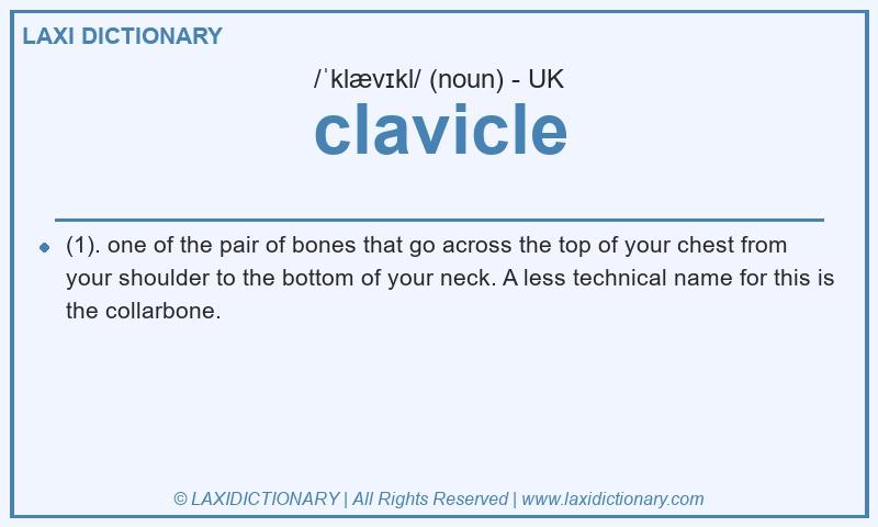 Definition clavicle in British English