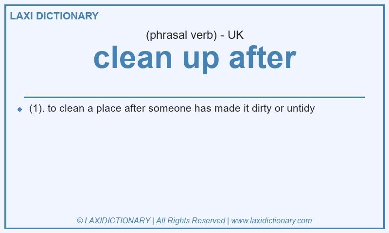 Definition clean up after in British English
