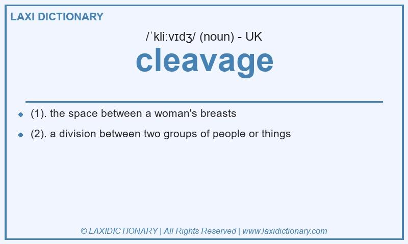 Definition cleavage in British English