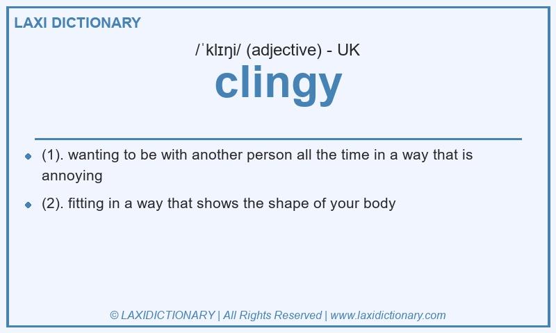 Definition clingy in British English