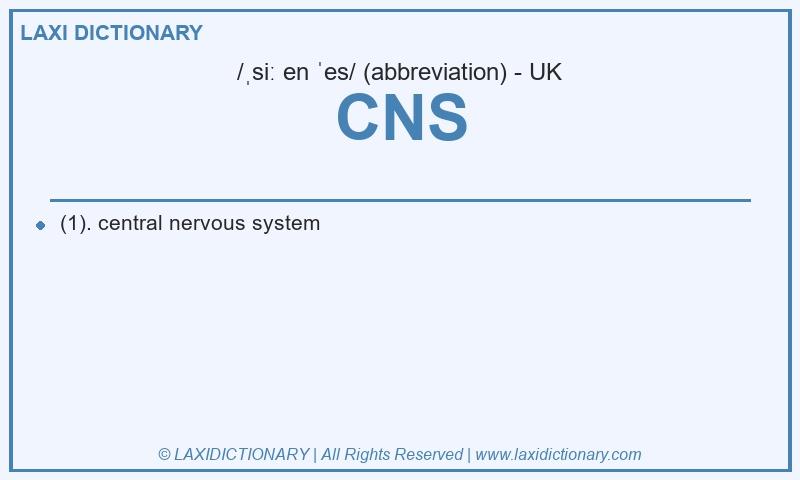 Definition CNS in British English