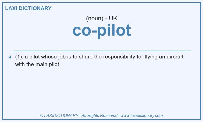 Definition co-pilot in British English
