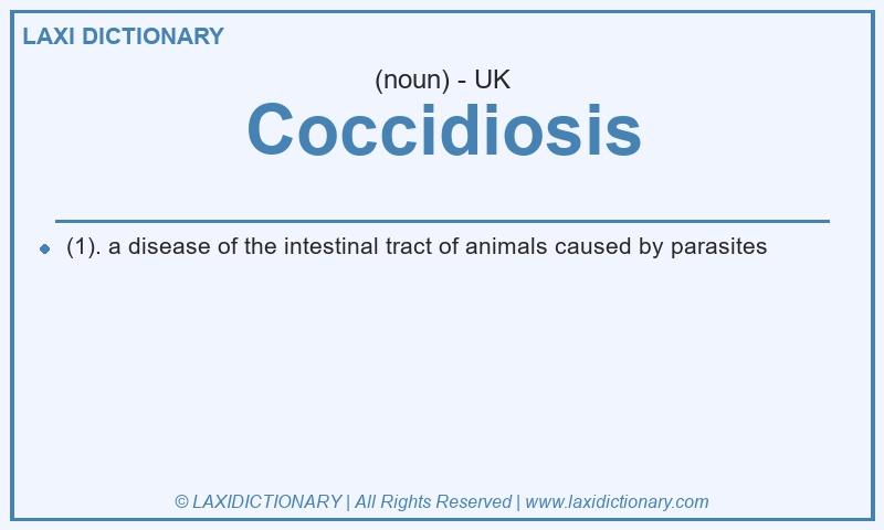 Definition Coccidiosis in British English